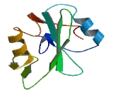 T-Lymphocyte Specific Adaptor Protein (TSAd)