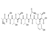 T-Peptide (TP)