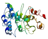 TATA Box Binding Protein Associated Factor 1A (TAF1A)