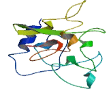 TATA Box Binding Protein Associated Factor 1B (TAF1B)