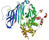 TATA Box Binding Protein Associated Factor 2 (TAF2)