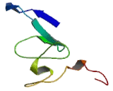 TATA Box Binding Protein Associated Factor 3 (TAF3)