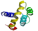 TATA Box Binding Protein Associated Factor 4B (TAF4B)