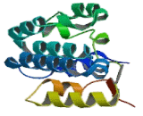 TATA Box Binding Protein Associated Factor 5 (TAF5)