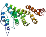 TATA Box Binding Protein Associated Factor 6 (TAF6)