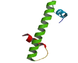 TATA Box Binding Protein Associated Factor 6 Like Protein (TAF6L)