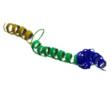 TATA Box Binding Protein Associated Factor 7 (TAF7)