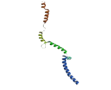 TATA Box Binding Protein Associated Factor 7 Like Protein (TAF7L)