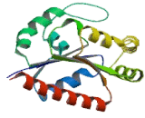 TATA Box Binding Protein Associated Factor 9 (TAF9)