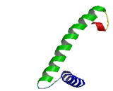 TATA Box Binding Protein Associated Factor 9 Like Protein (TAF9L)