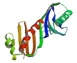 TATA Box Binding Protein Like Protein 2 (TBPL2)