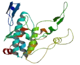 TBC1 Domain Containing Kinase (TBCK)