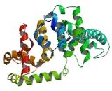 TBC1 Domain Family, Member 12 (TBC1D12)