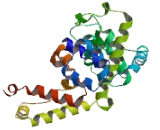 TBC1 Domain Family, Member 19 (TBC1D19)