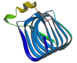 TBCC Domain Containing Protein 1 (TBCCD1)