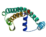 TBK1 Binding Protein 1 (TBKBP1)