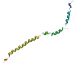 TGF Beta Inducible Nuclear Protein 1 (TINP1)