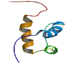 TGFB Induced Factor Homeobox 2 Like Protein, X-Linked (TGIF2LX)