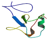 THAP Domain Containing, Apoptosis Associated Protein 1 (THAP1)