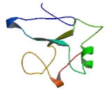 THAP Domain Containing, Apoptosis Associated Protein 3 (THAP3)