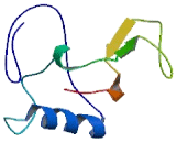 THAP Domain Containing Protein 10 (THAP10)