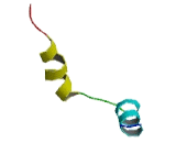 THAP Domain Containing Protein 11 (THAP11)