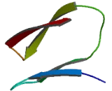 THAP Domain Containing Protein 5 (THAP5)