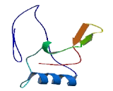 THAP Domain Containing Protein 8 (THAP8)