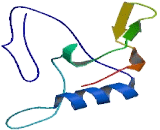 THAP Domain Containing Protein 9 (THAP9)