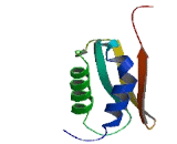 THUMP Domain Containing Protein 1 (THUMPD1)