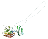 THUMP Domain Containing Protein 3 (THUMPD3)