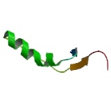 TLC Domain Containing Protein 1 (TLCD1)