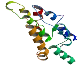 TLC Domain Containing Protein 2 (TLCD2)