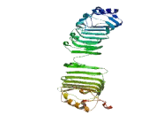 TLR4 Interactor With Leucine Rich Repeats (TRIL)