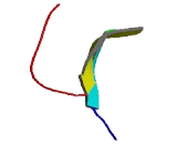 TM2 Domain Containing Protein 1 (TM2D1)