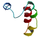 TM2 Domain Containing Protein 2 (TM2D2)