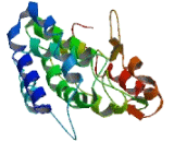 TM2 Domain Containing Protein 3 (TM2D3)