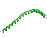 TMF1 Regulated Nuclear Protein 1 (TRNP1)