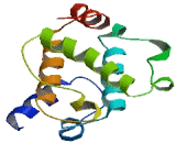 TNF Receptor Associated Factor 3 Interacting Protein 1 (TRAF3IP1)