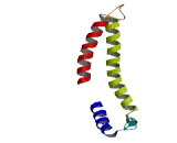 TNF Receptor Associated Factor 3 Interacting Protein 3 (TRAF3IP3)