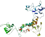 TNF Receptor Associated Factor 6 (TRAF6)