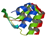 TNNI3 Interacting Kinase (TNNI3K)