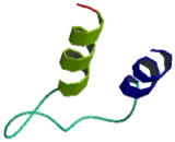 TP53 Regulated Inhibitor Of Apoptosis 1 (TRIAP1)