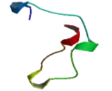 TP53 Regulating Kinase (TP53RK)