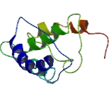 TP53 Target Gene 3 (TP53TG3)