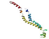 TP53 Target Gene 5 (TP53TG5)