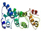 TPA Induced Trans Membrane Protein (TTMP)