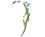 TRAF Interacting Protein (TRAIP)