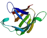 TRAF Interacting Protein With Forkhead Associated Domain Family, Member B (TIFAB)