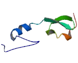 TRAF Type Zinc Finger Domain Containing Protein 1 (TRAFD1)